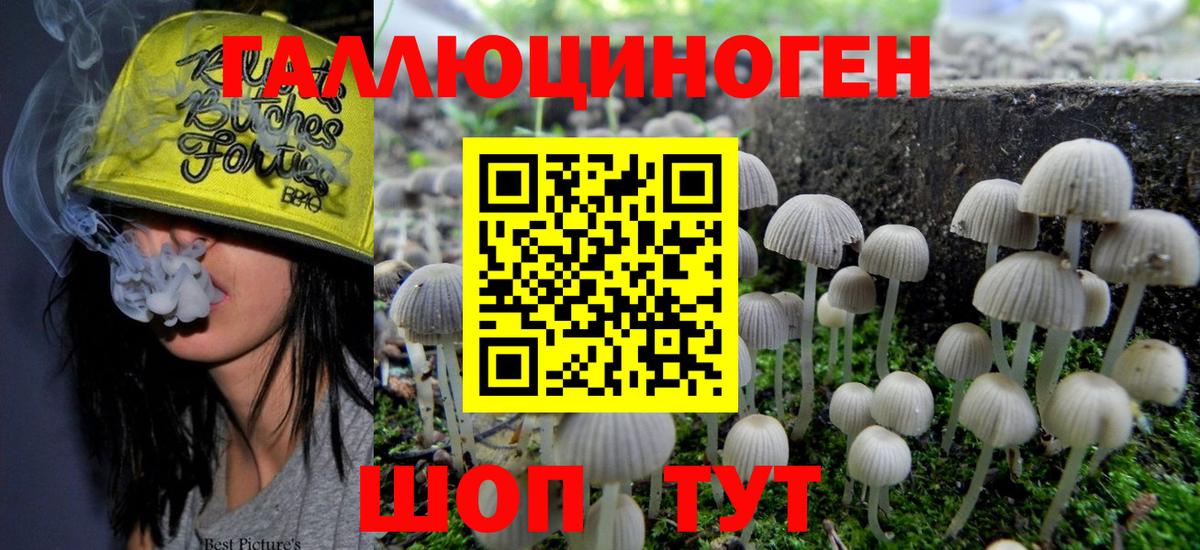 Пугачёв  Псилоцибиновые грибы GOLDEN TEACHER  Вход с VPN 