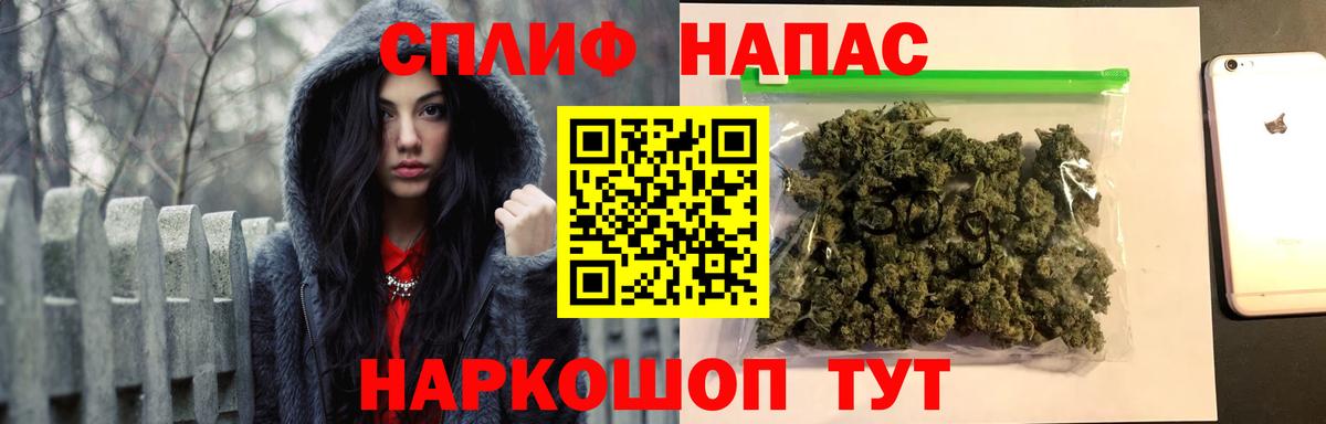 Шишки марихуана планчик Пугачёв
